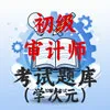 初级审计师